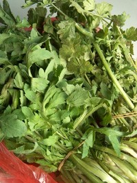 2009.04.16 paparouna & kafkalithra