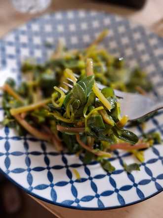 2026.08.18 purslane