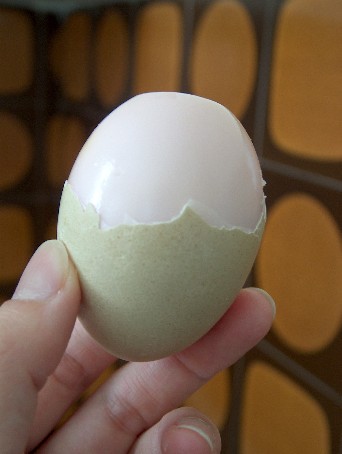 pink egg