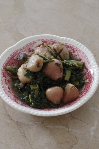 2026.03.12 volvoi me horta