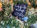 886f3e36.JPG