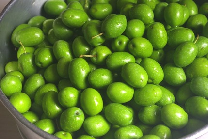 2017.10.11 olives
