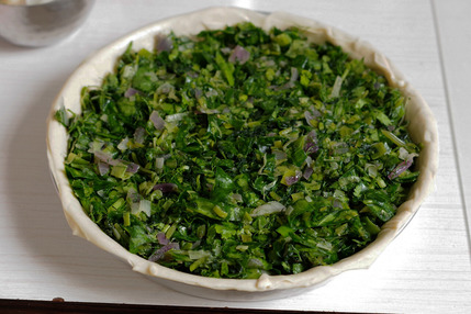 2026.01.29 hortopita