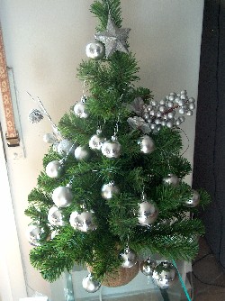 our tree