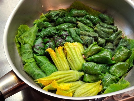 2025.11.15 dolmadakia4