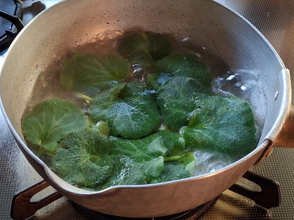 2025.11.15 dolmadakia1