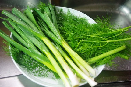 2016.03.23 fennel & garlic