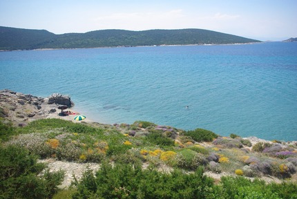 evia14