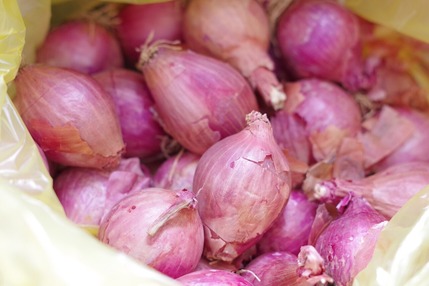 2021.06.01 onions