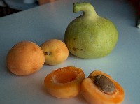 apricots & pear
