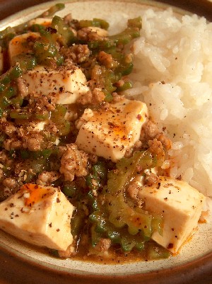 ma-po tofu