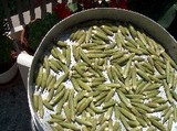 okra