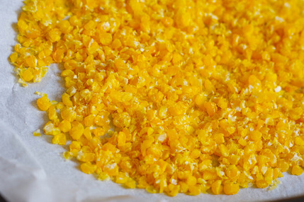 2024.08.14 corn xynochondros 1