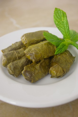 2016.04.30 dolmadakia yalanji