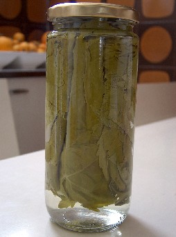 vine leaves