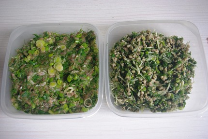 2016.03.23 fennel & garlic3