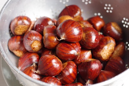 2020.10.22 chestnuts