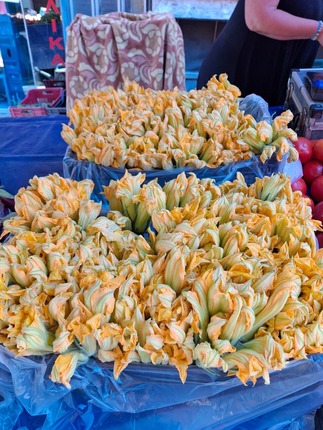 2025.08.12 kolokythoanthi