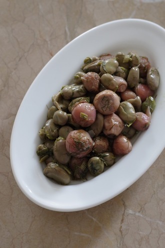 2026.03.17 volvoi me koukia