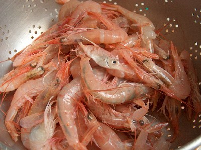 2008.10.10 prawns