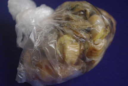2014.03.28 escargot1