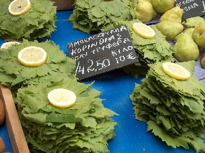 vine leaves