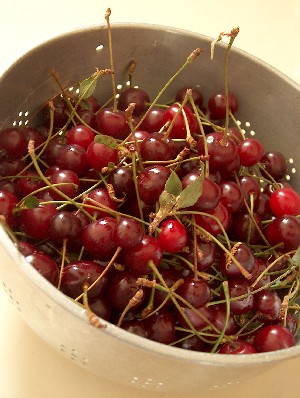 sour cherry