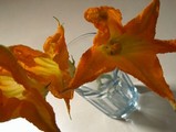 zucchini blossoms