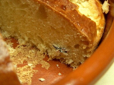 vasilopita2