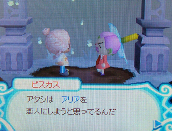 ２００８‐２００９カウントダウン！ : I Love Adelaide☆彡