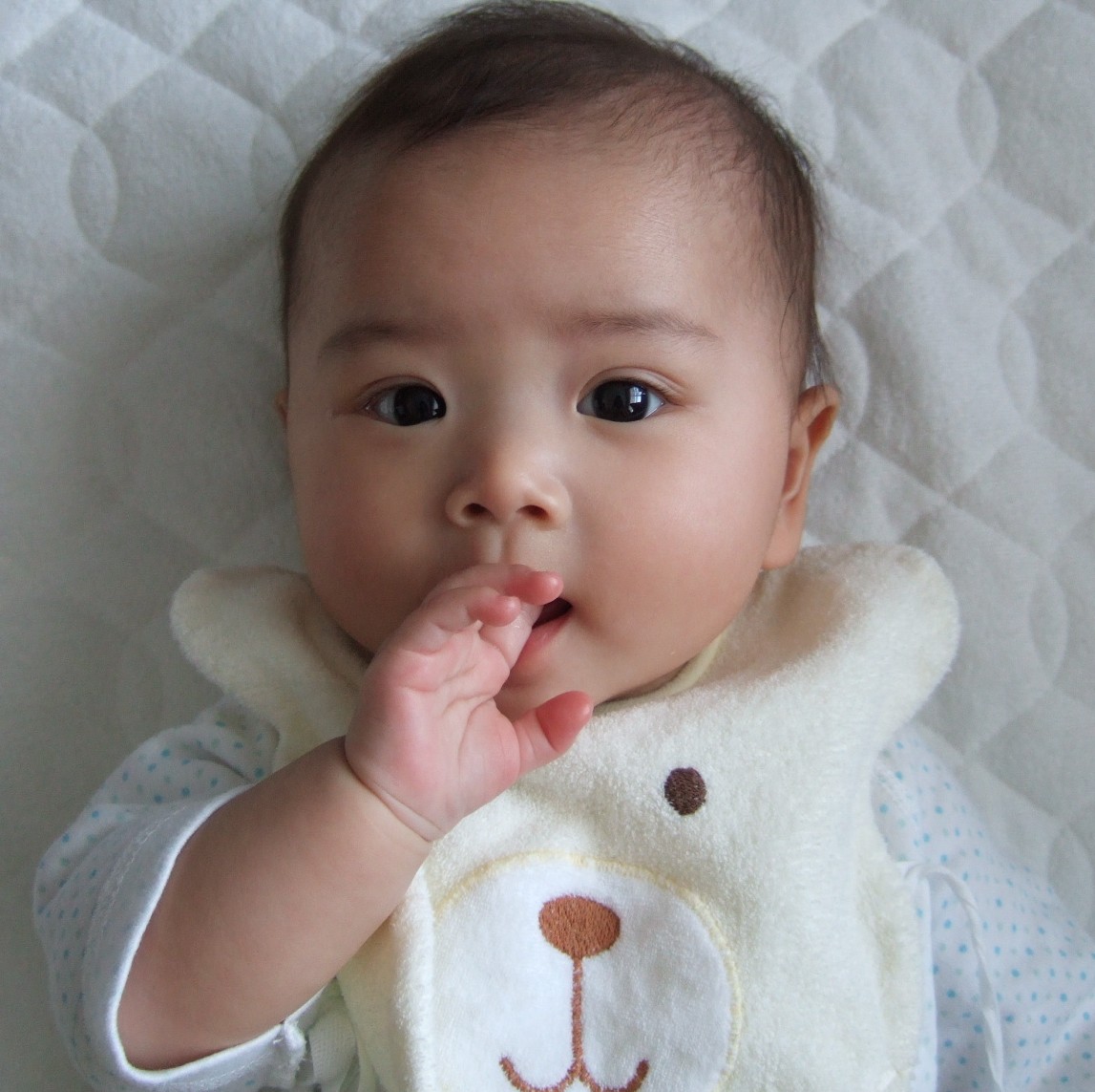 4ヶ月 赤ちゃんっていいね 育児カレンダー In 札幌