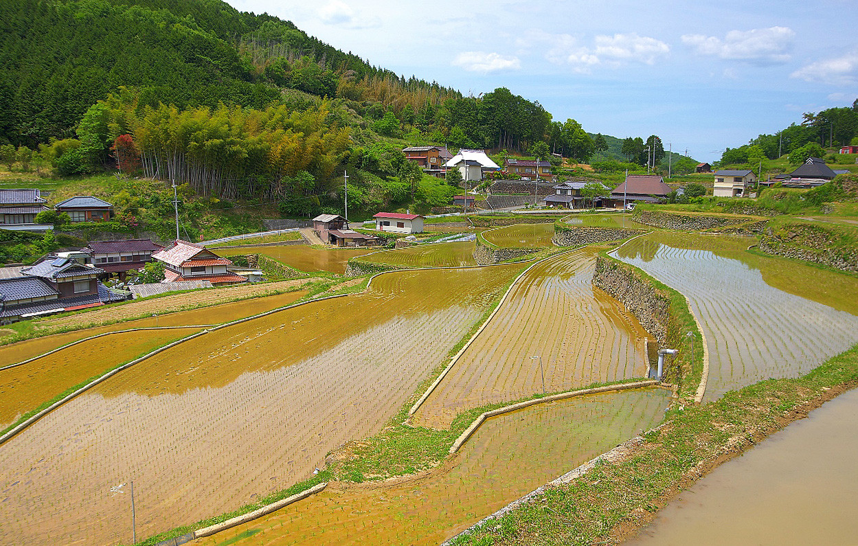 兵庫県佐用町 乙大木谷の棚田 燃えろ Hdr