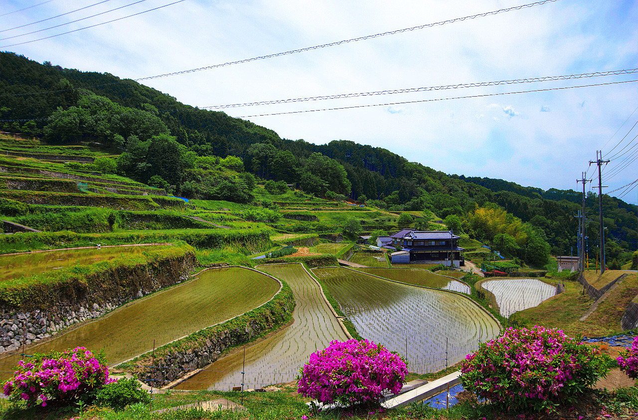 兵庫県佐用町 乙大木谷の棚田 燃えろ Hdr