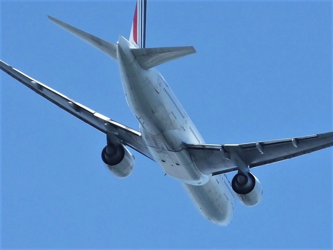 今日も飛行機撮影 Husky写真館