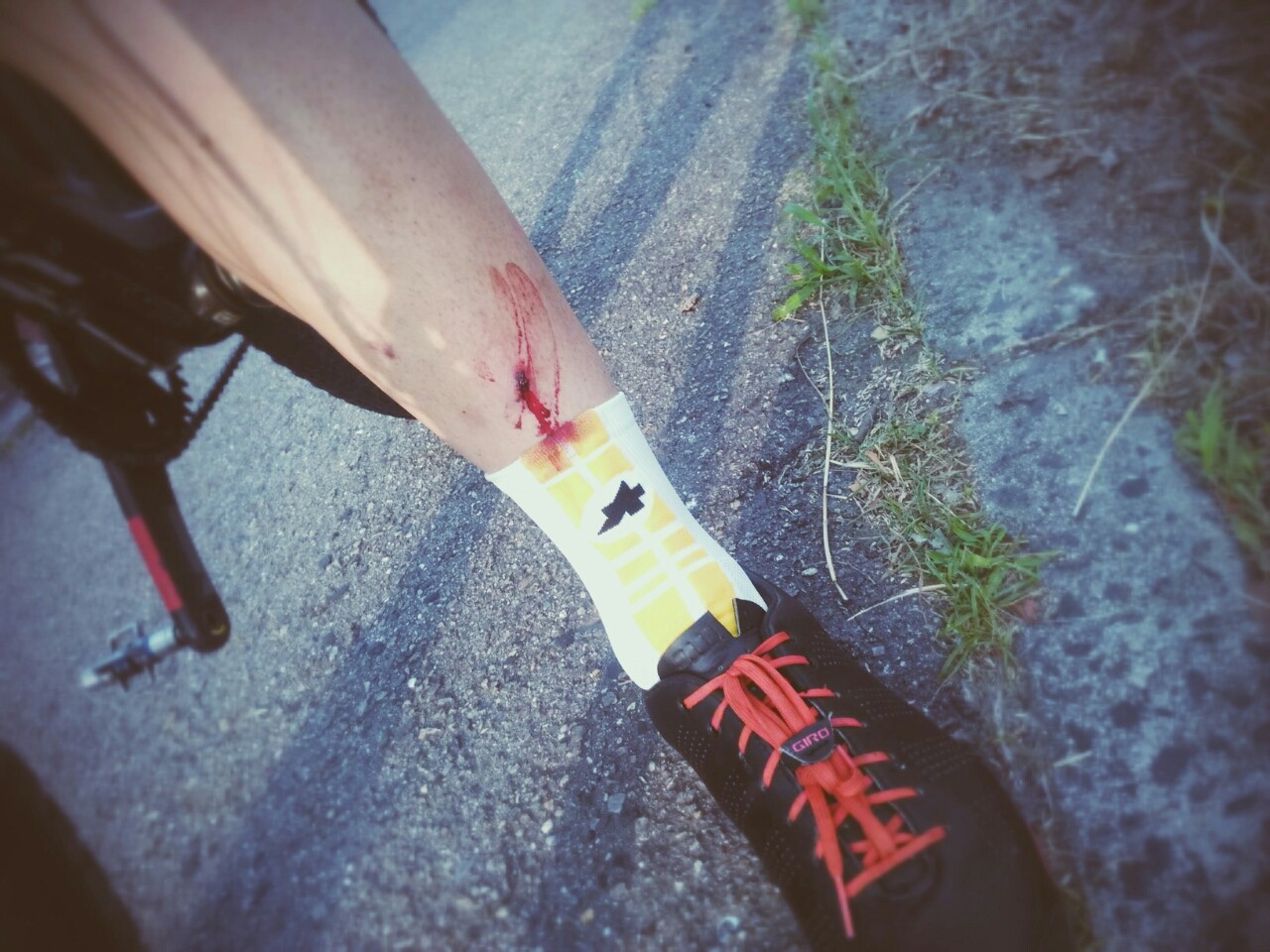 飛び石注意 マ ウ ン 遊 記