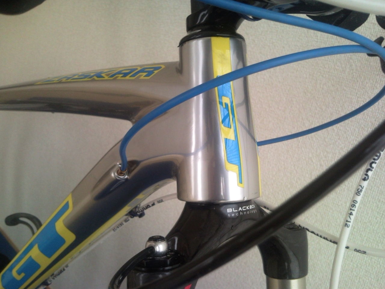 GT ZASKAR CARBON TEAM紹介 : マ ウ ン 遊 記 ! GT ZASKAR CARBON TEAM紹介 : マ ウ ン 遊 記 !