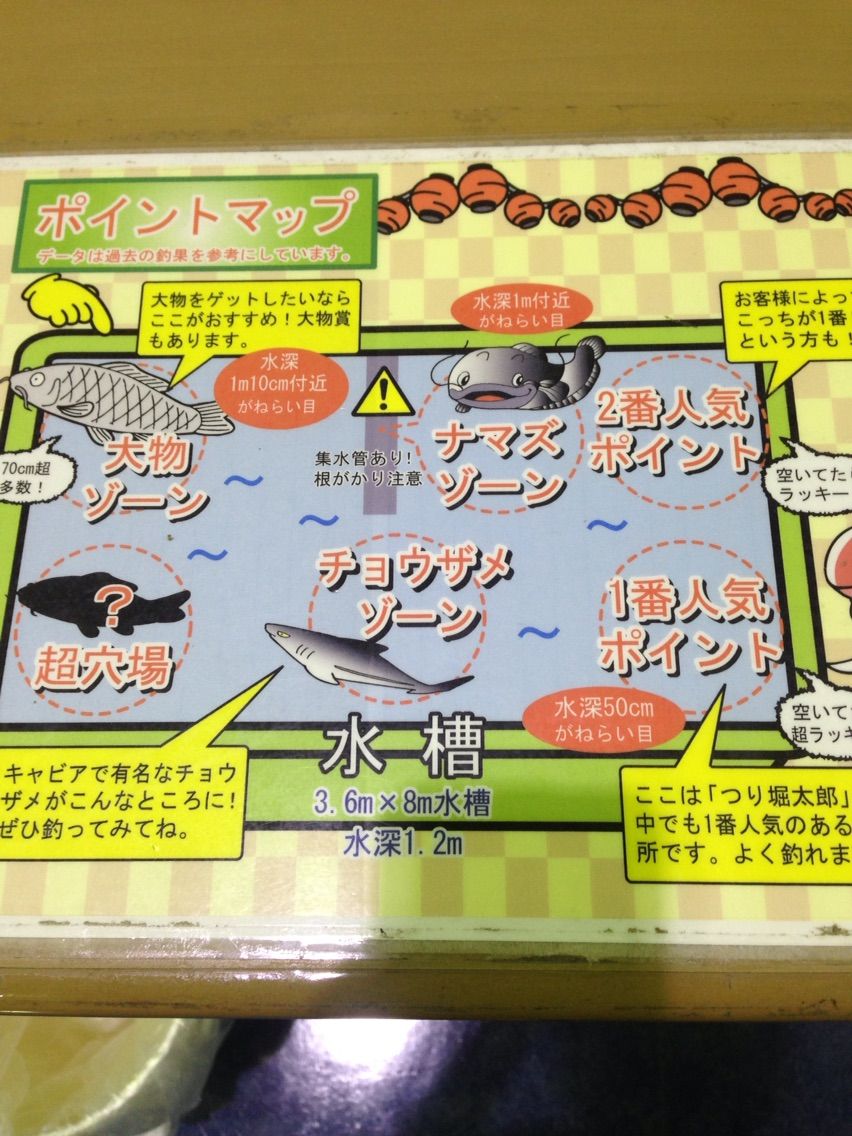 S Wing 釣り堀太郎 チョウザメ 日々のblog S Wing 釣り堀太郎 チョウザメ 日々のblog
