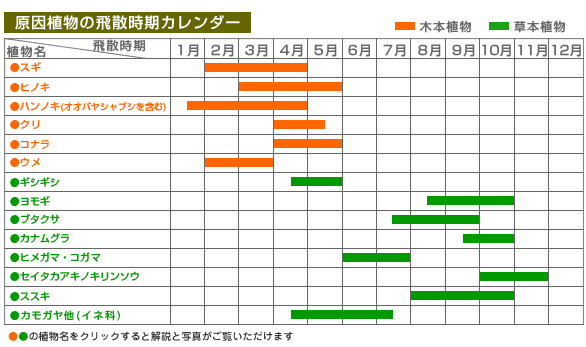 この時期の花粉症 風間ルミ Enjoy Life この時期の花粉症 風間ルミ Enjoy Life