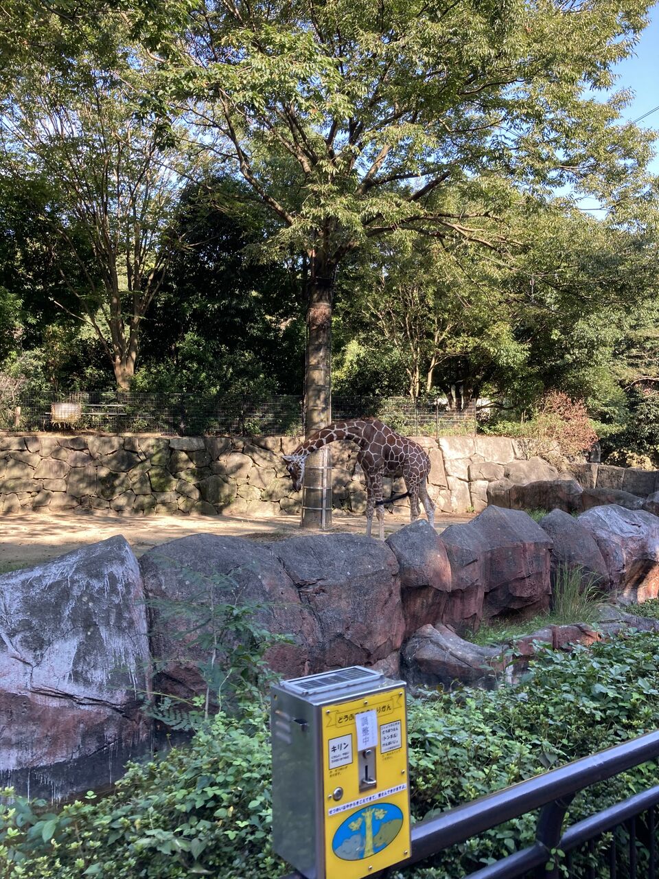 動物園 金沢 自然