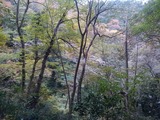 IMG_20201108_144804
