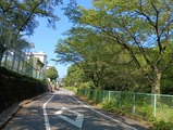 IMG_20260723_084654