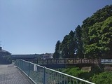 IMG_20220625_093409