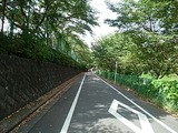 IMG_20190812_085449