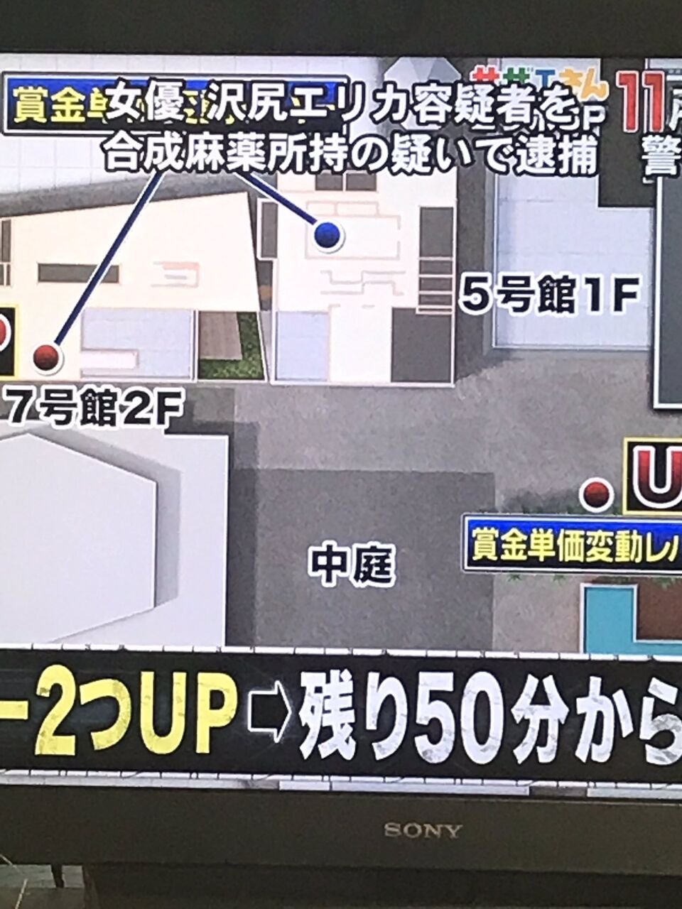 女優沢尻エリカ 麻薬所持で逮捕 ビーマンズレポート