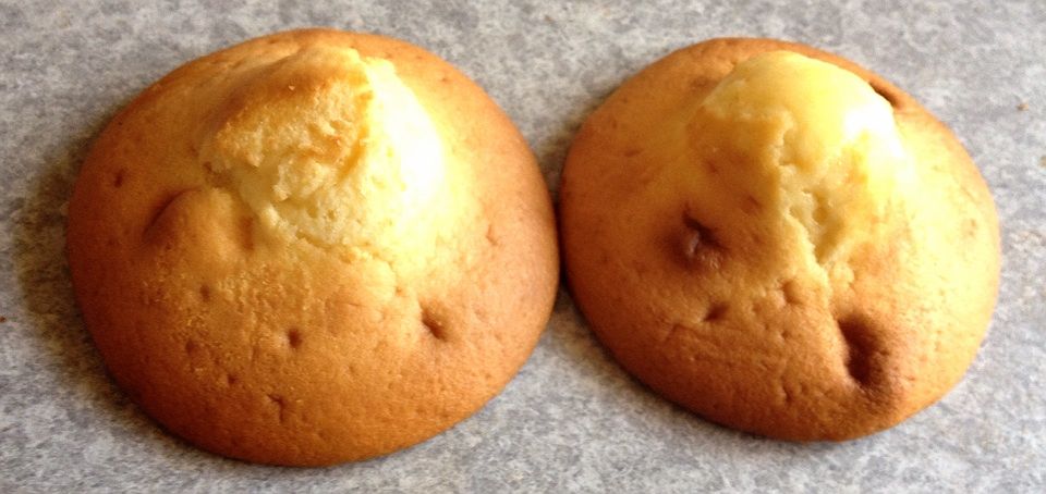 山崎 甘食2個入おっぱいパンやんかぁ 人 明日の私