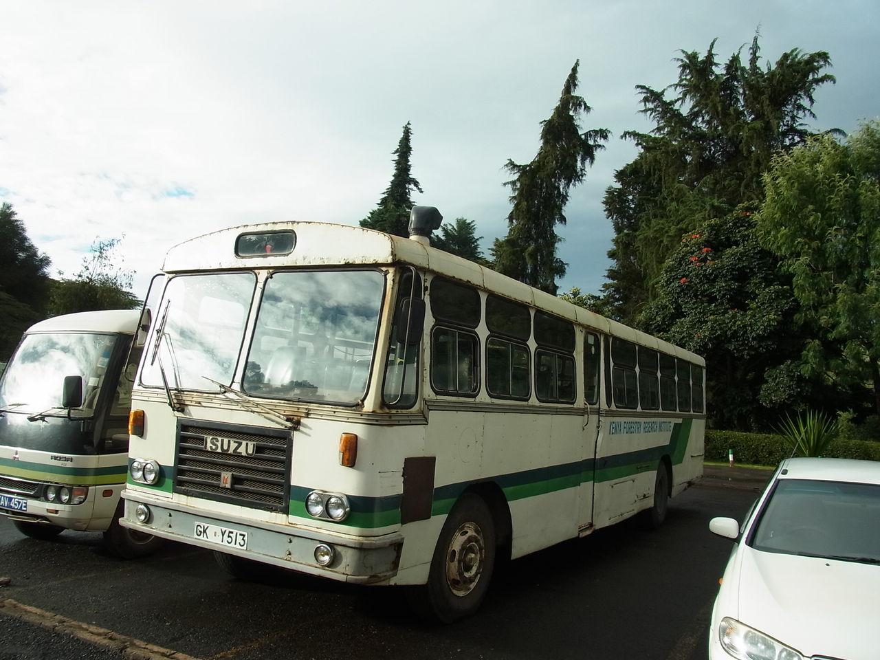 RIMG0287