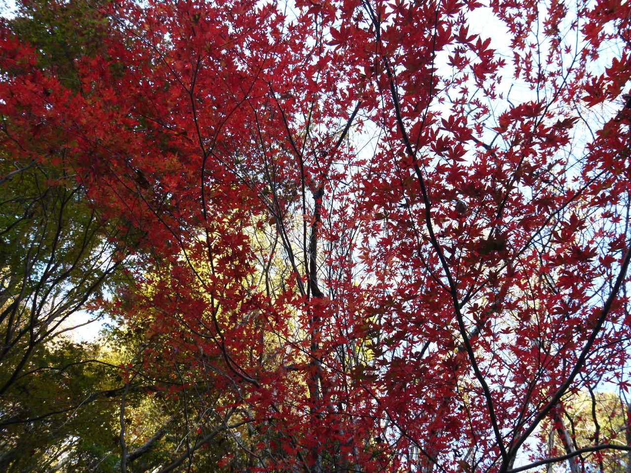 P1000195