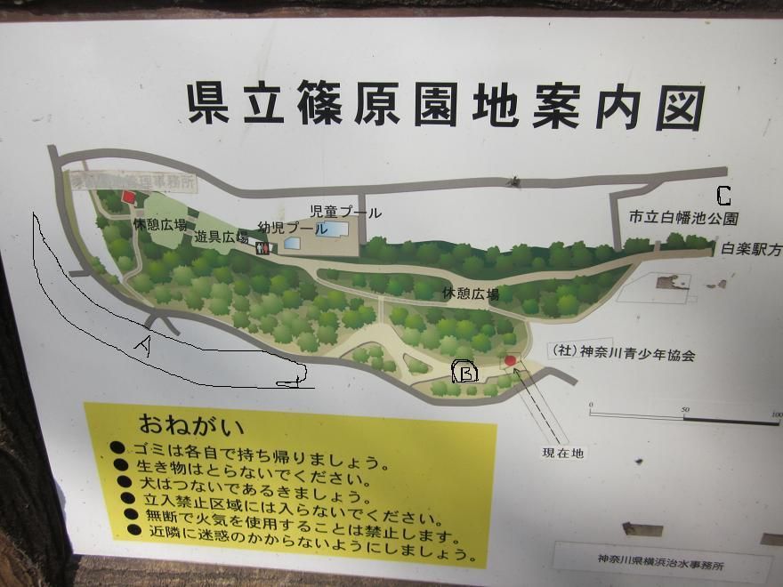 リタイヤー後の生活 東京 横浜 軽井沢物語 リタイヤー後の生活 東京 横浜 軽井沢物語
