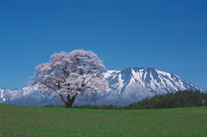 577dc35d61f1631ed82eeac2225c12da