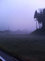 霧